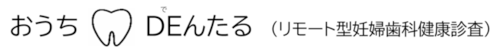 おうちDE(で)んたる（リモート型妊婦歯科健康診査）　画像