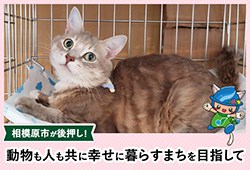 相模原市が後押し！動物も人も共に幸せに暮らすまちを目指してリンクバナー（外部リンク・新しいウインドウで開きます）