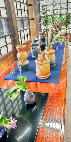 本日の花 写真