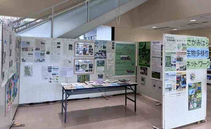 生物多様性ネットワーク活動の写真