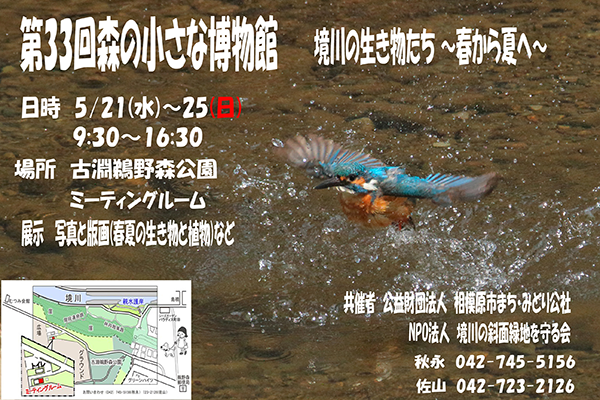 森の小さな博物館