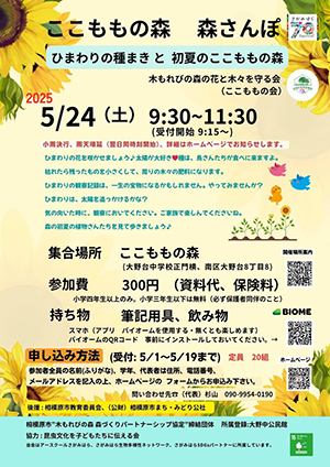 ここももチラシ