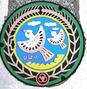 販売後（塗装後）ひばりの写真