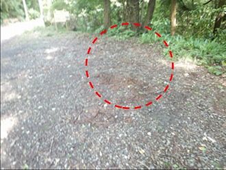 5月事例補修後の道路