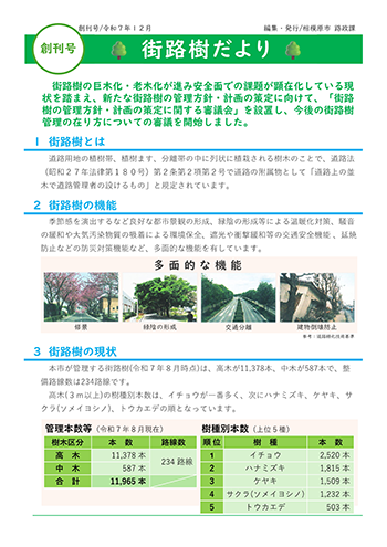 街路樹だよりイメージ写真