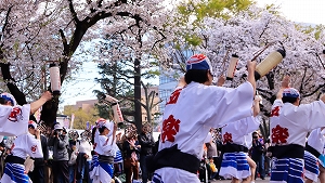 パレードの写真