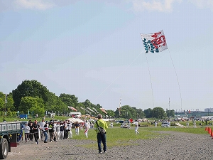 「南翔」の3間凧