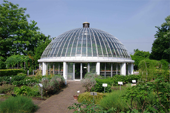 北里大学相模原キャンパス　薬用植物園