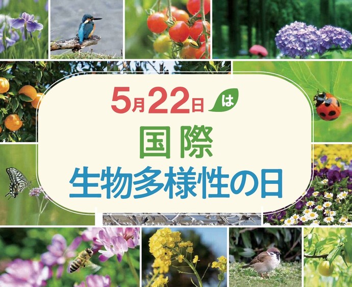 国際生物多様性の日ポスター