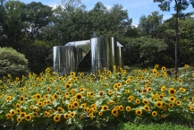 モニュメント花壇(県立相模原公園)